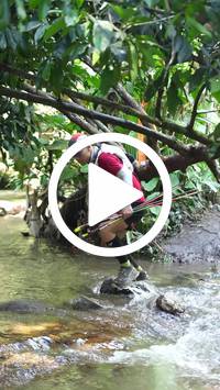 BIB:  <button type="button" onclick="openModal(27473631)" class="btn btn-primary btn-sm float-right" data-toggle="modal" data-target=".modal-high-quality">
                <i class="fa fa-download"></i> Download
                </button>